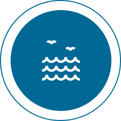 Blue circle with waves and birds icon.
